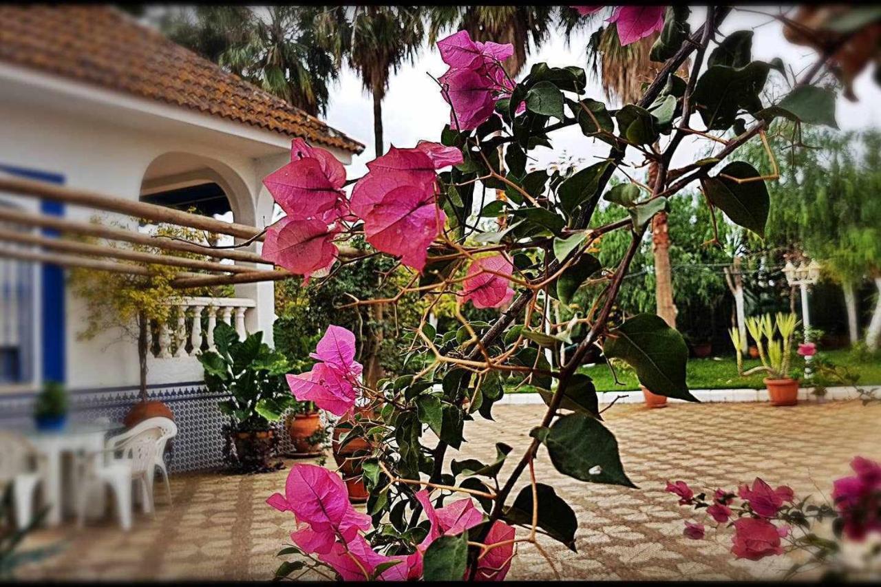 Casa Rural Finca Real De Niebla Exteriér fotografie